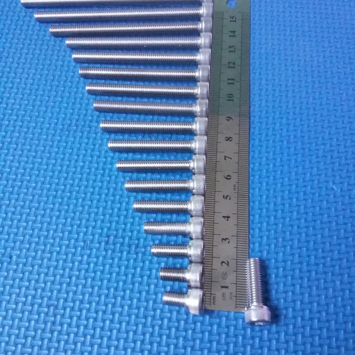 baut 10/6x20 stainless