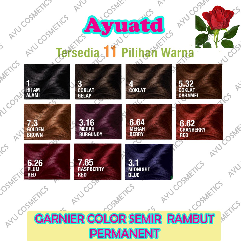 GARNIER Semir rambut / Cat rambut Permanent