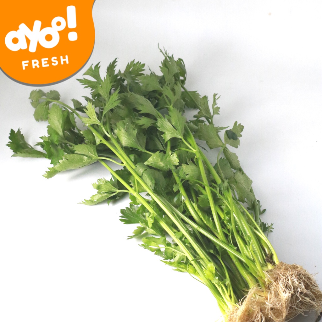 

Daun Seledri 100 g