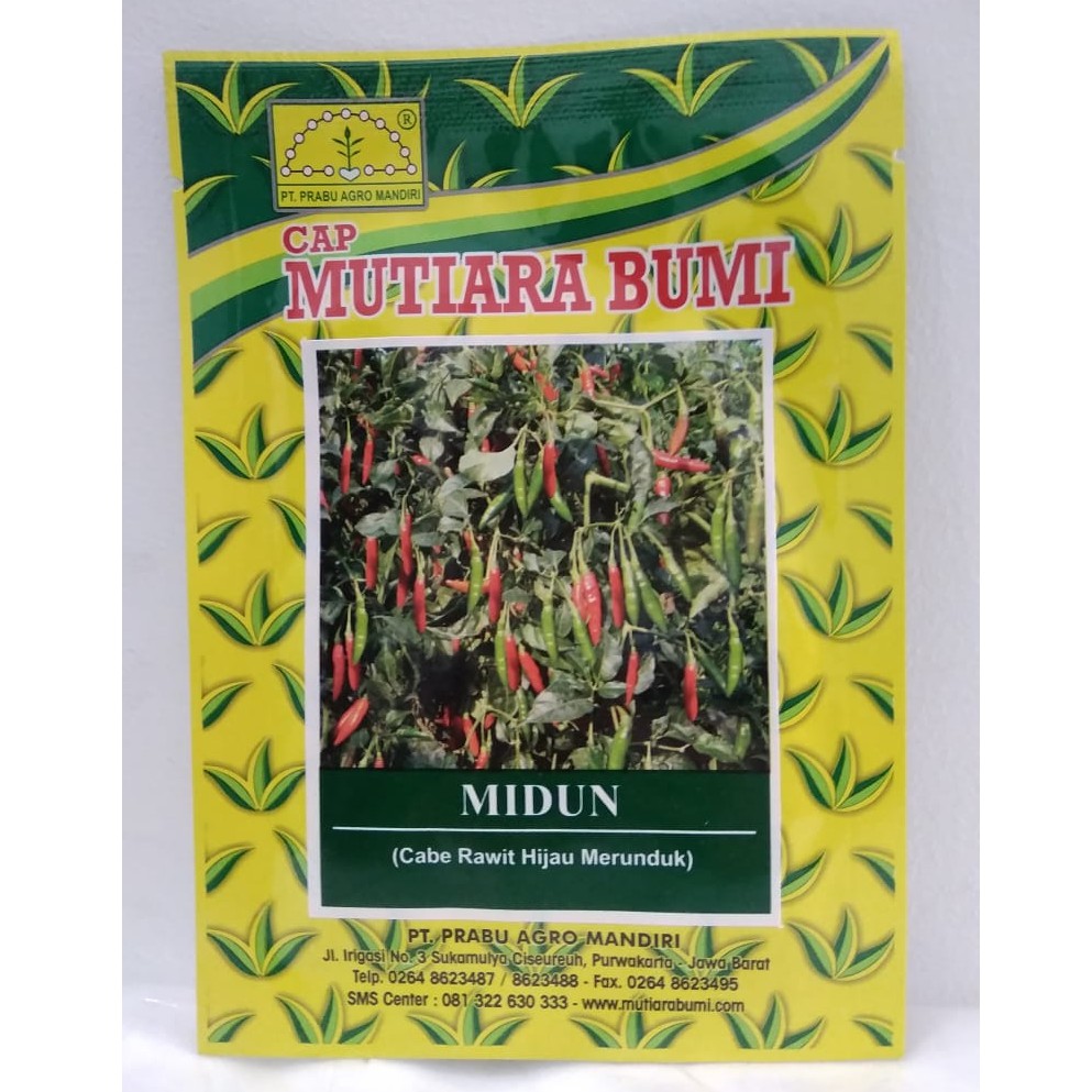 Benih / Bibit Cabe Rawit Hijau Midun Mutiara Bumi @ 10 Gram