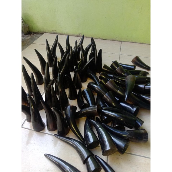 Kop Bekam Tanduk Sapi / Kop Tanduk Terapi Untuk bekam Alternatif sammora