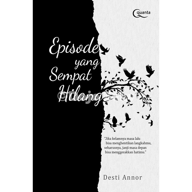 Buku Episode yang Sempat Hilang by Desti Annor