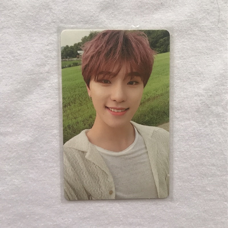 SEVENTEEN Social Club Soco Da Capo Dino Nyengir PC Photocard