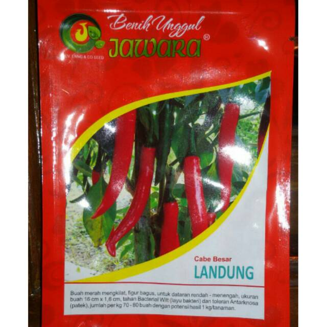 Benih Cabe Merah Besar LANDUNG Jawara 5 gr