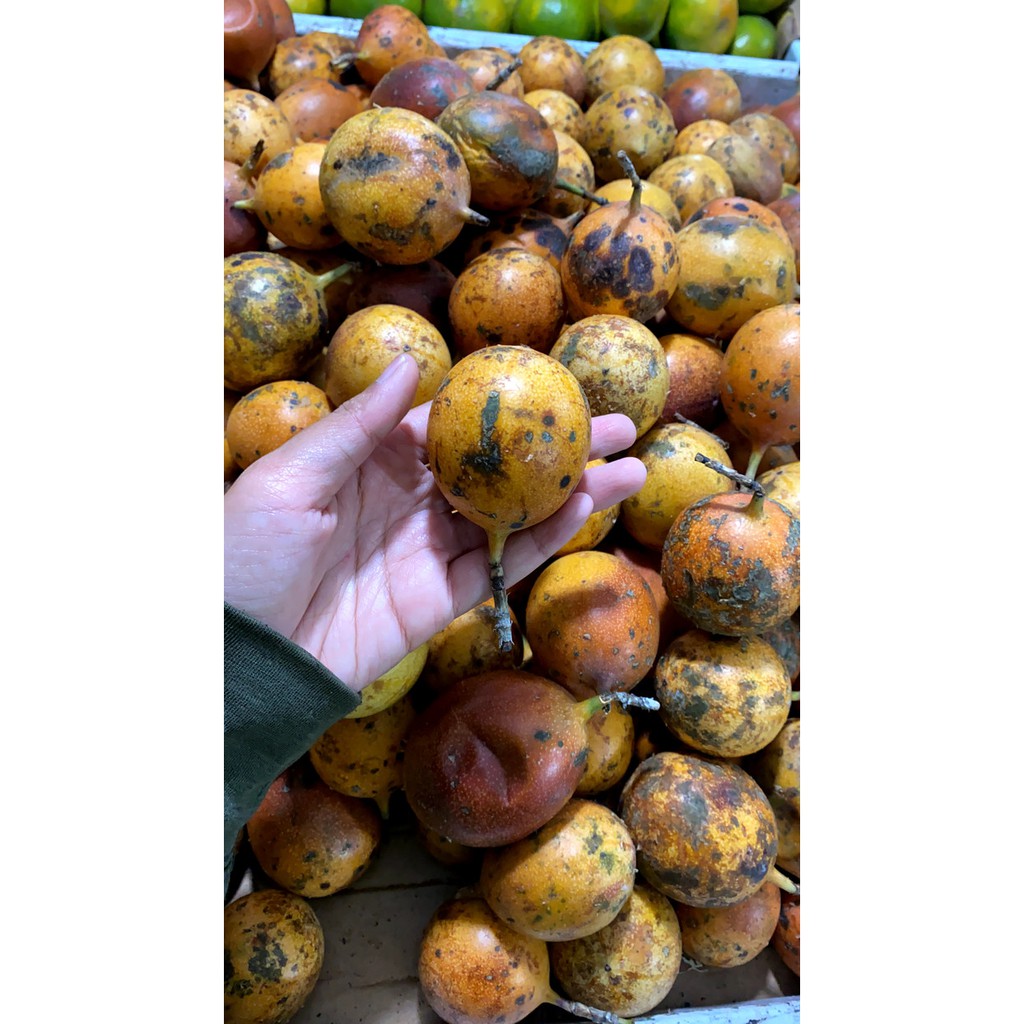 Buah Konyal Fresh 500gr