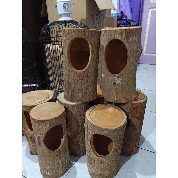 Glodok pohon burung 2 pcs - glodok murai kacer parrot promo beli 2
