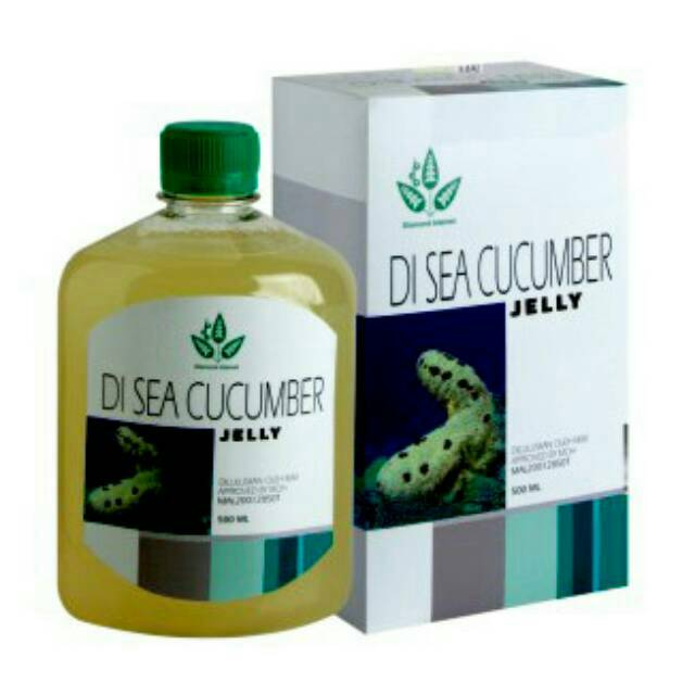 Jelly Gamat Kualitas Terbaik Sea Cucumber Jelly 250 Ml 500 Ml Indonesia