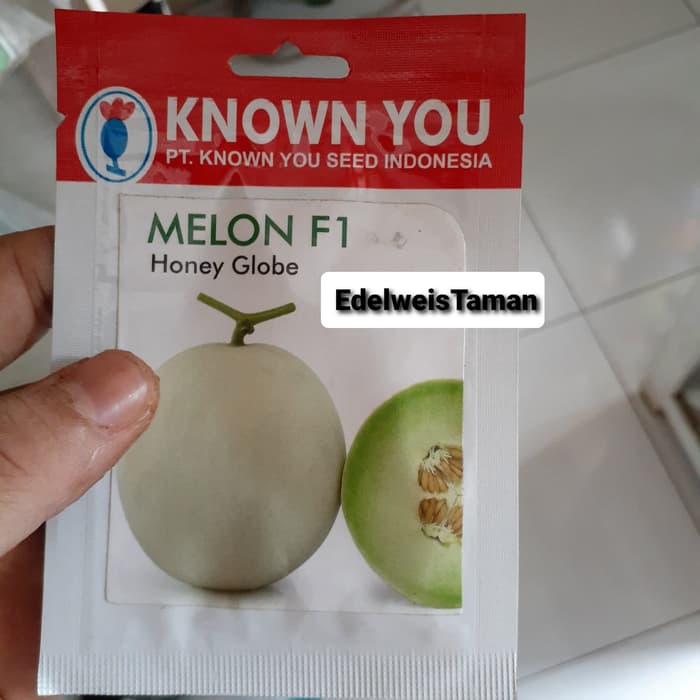 PROMO Benih Buah Melon/Biji Buah Melon murah