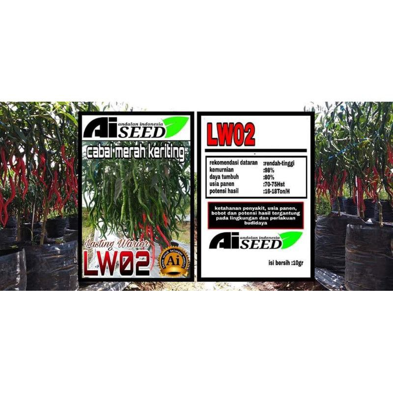 

CABE LW O2 ORIGINAL PABRIK TAHAN VIRUS 10 gram /Cabai LW 02 / Cabe kriting Lw 02