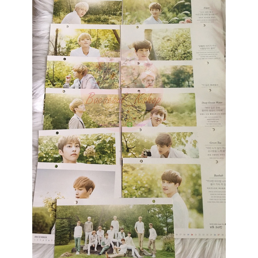 BAEKHYUN CHANYEOL SEHUN KYUNGSOO SUHO XIUMIN LAY CHEN KAI TAO KRIS LUHAN NATURE REPUBLIC POSTCARD