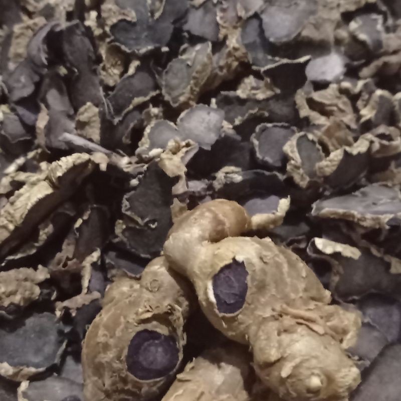 

KUNYIT HITAM (KAEMPFERIA PARVIVFLORA) 50 gram ranjang kering