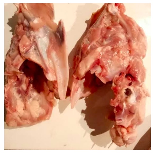 

TULANG DADA UTUH MASIH ADA DAGING SEDIKIT 1KG