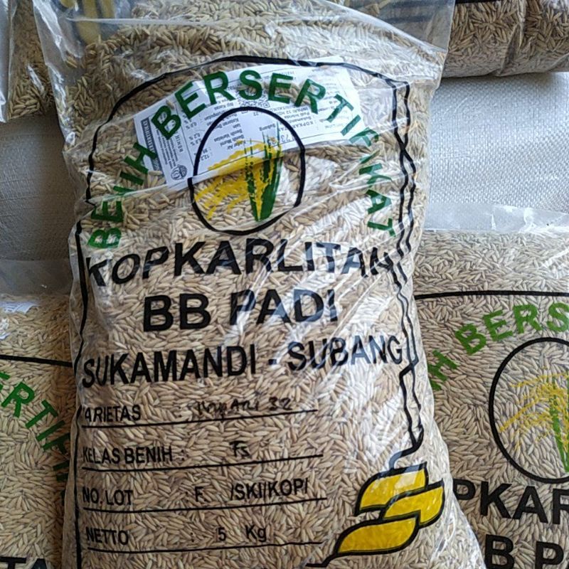 BENIH PADI INPARI 32 FS 5 kg lebel putih stok terbatas