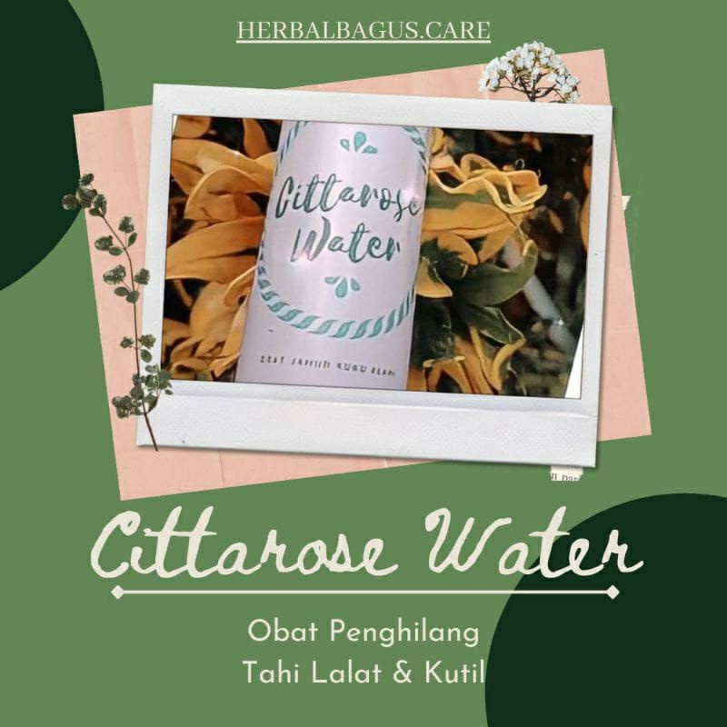 Cittarose water penghilang kurap / ketombe / gatel gatel dikepala herbal alami 100% permanen