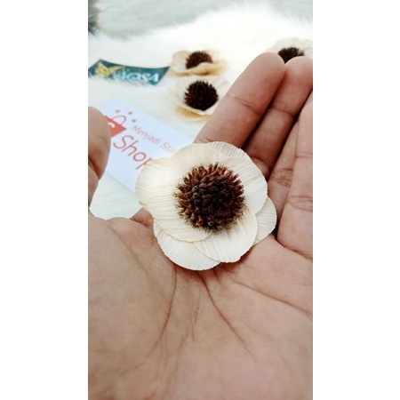 bunga kering dried flower bunga klobot jagung (bunga klobot jagung)