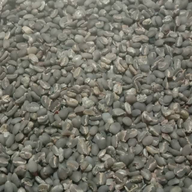 

Biji kopi arabika gayo