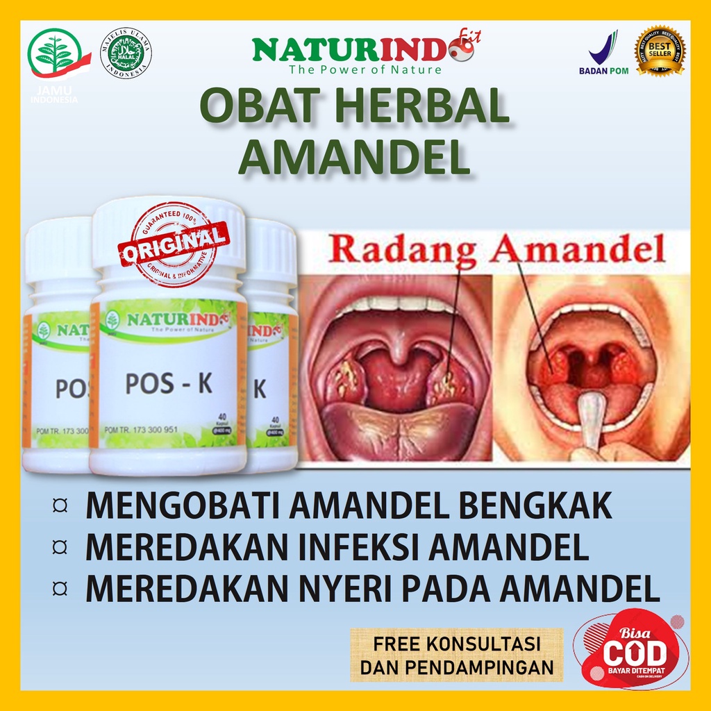 Obat Amandel Paling Ampuh Pos K Naturindo Solusi Amandel