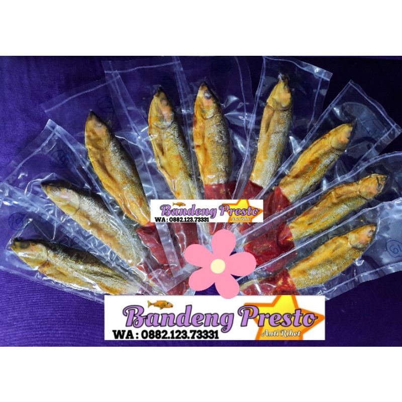 

Paket B Bandeng Presto