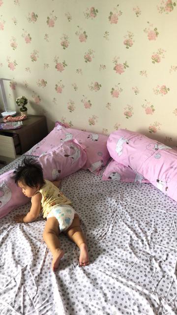 Sprei Dan Bed Cover Ukuran No.2 Queen 160x200 Motif Dolphin Lucu Adem Premium Quality