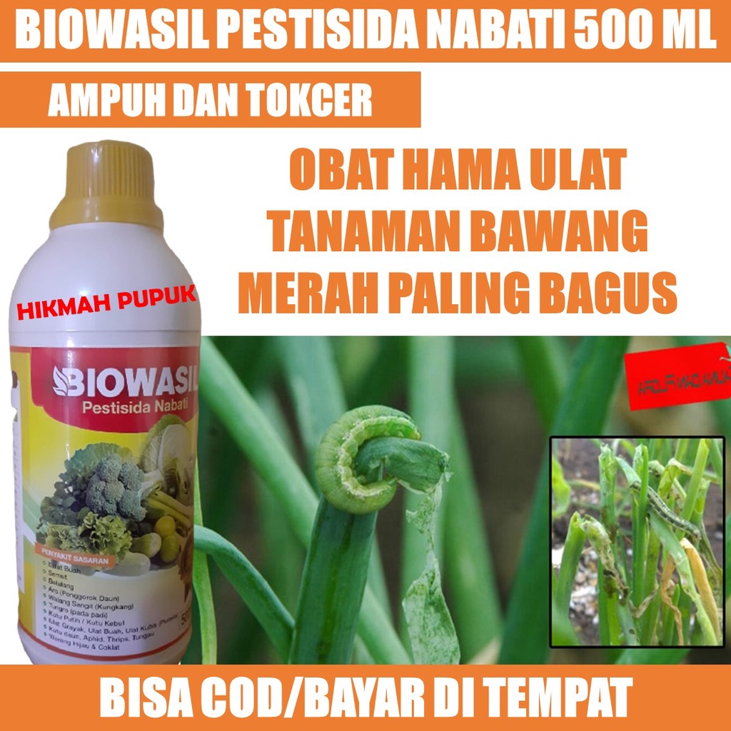 (COD) BIOWASIL 500 ML PESTISIDA HAMA ULAT BAWANG MERAH, BAWANG DAUN, PADI Obat Hama Ulat Sayuran Baw