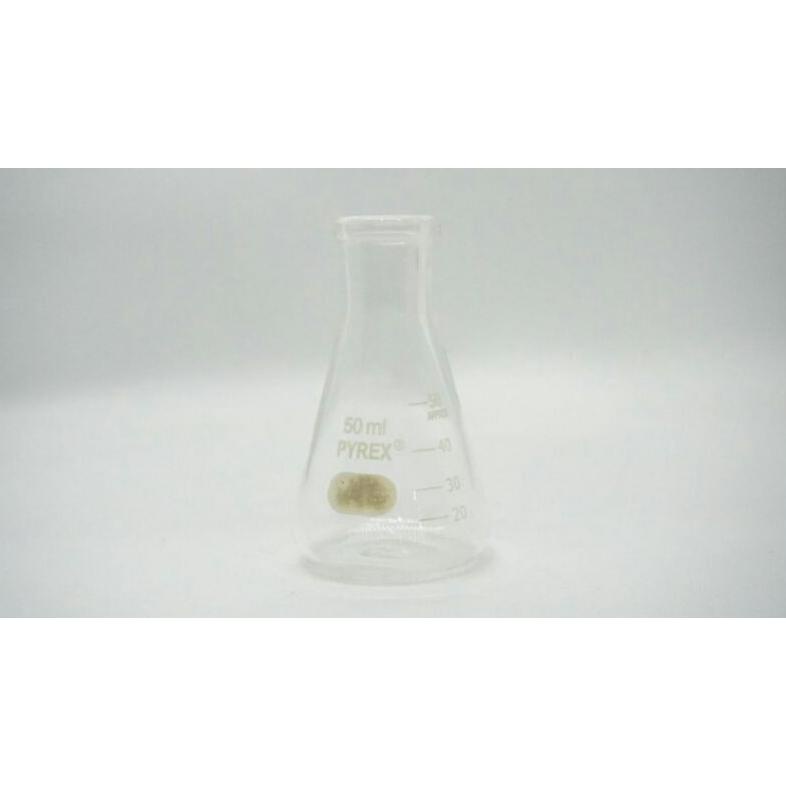Labu Erlenmeyer 50 ml / Gelas lab / erlenmenyer flash