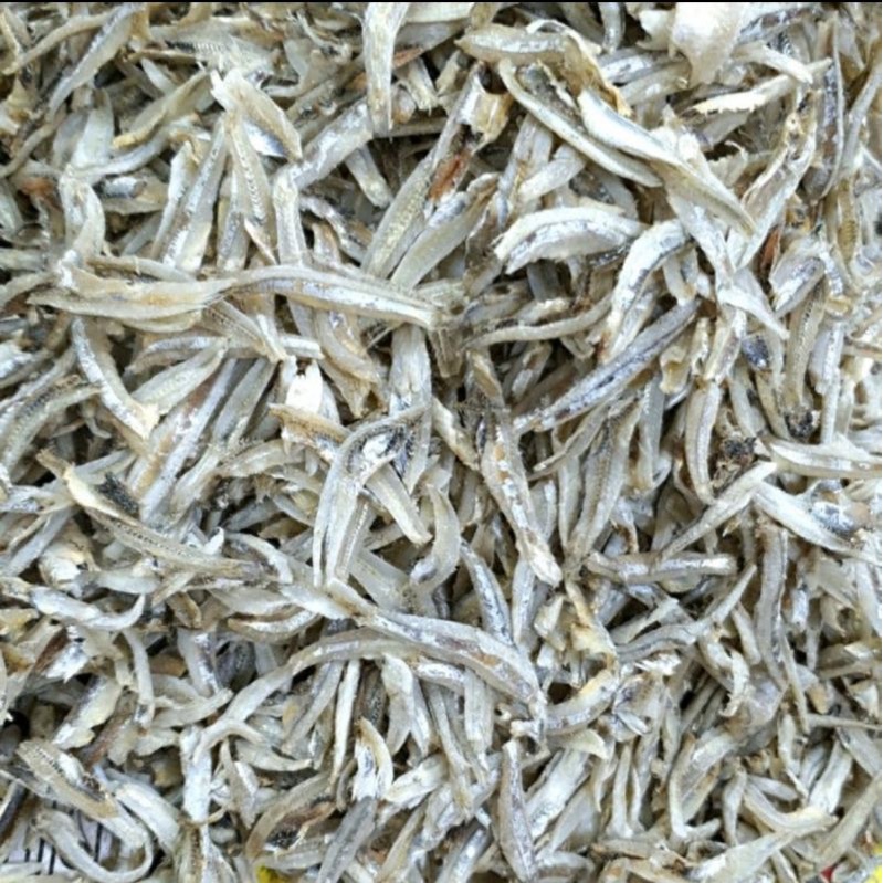 

ikan teri jengki 250 gram
