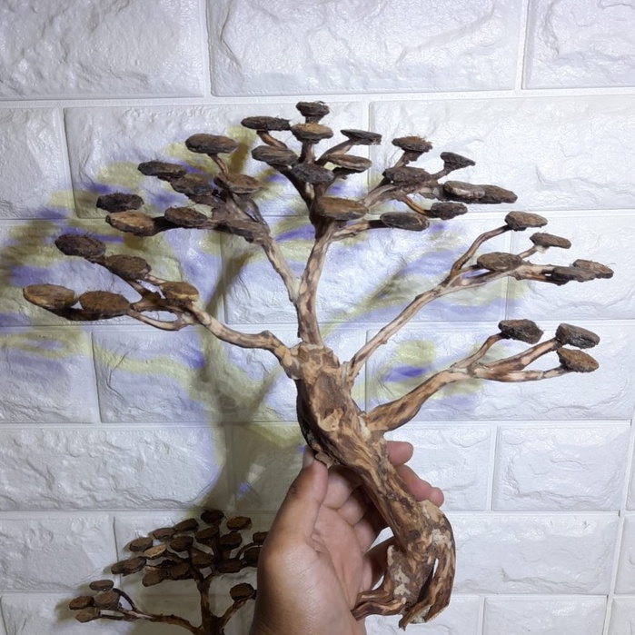 BONSAI AQUASCAPE BESAR BONSAI SIZE L DEKORASI AQUARIUM AQUASCAPE