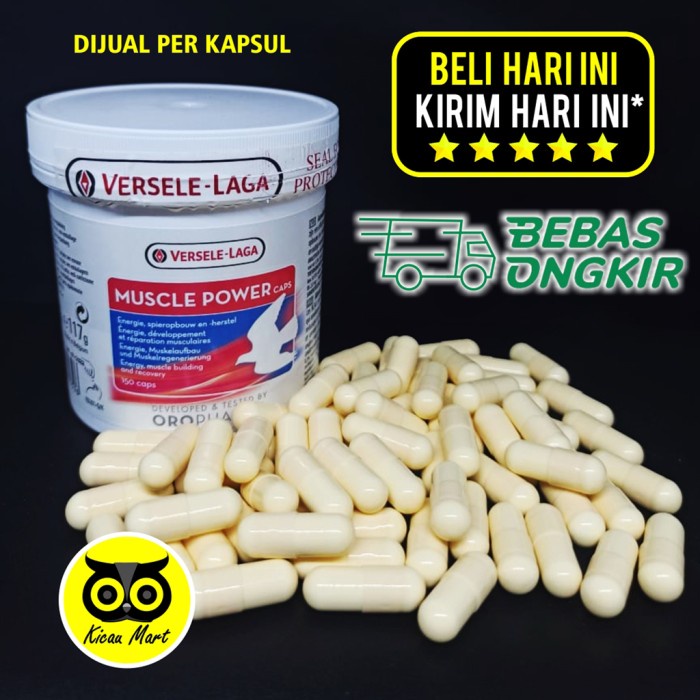 burung-vitamin-obat- muscle power versele laga pil kapsul vitamin otot burung merpati mspw -obat-