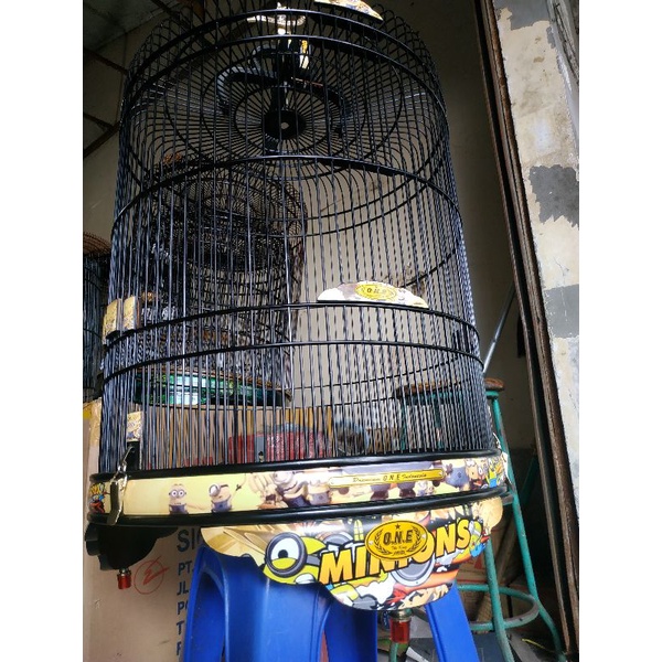 sangkar murai batu / sangkar decal / sangkar water decal / sangkar premium / kandang murai / kandang