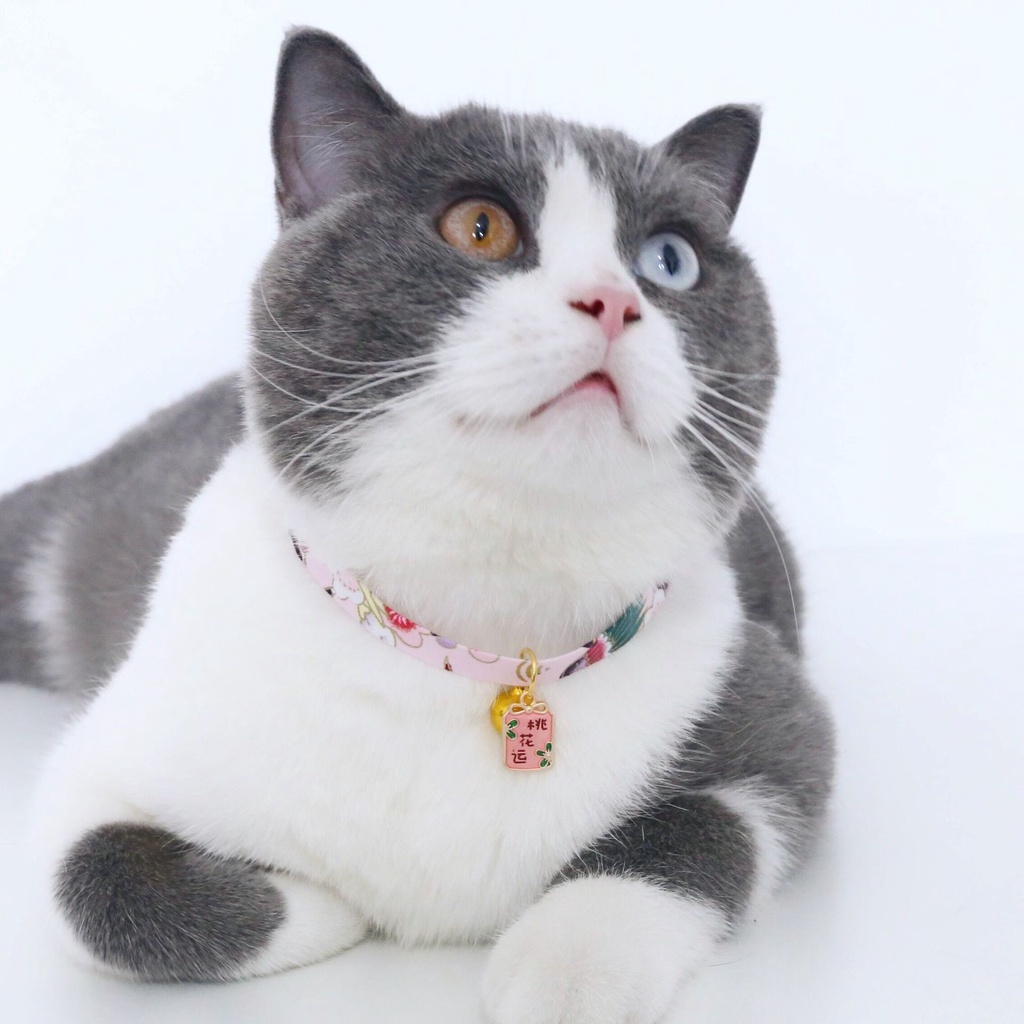 Kalung Anjing / Kucing adjustable Gaya Cina Untuk Musim Semi