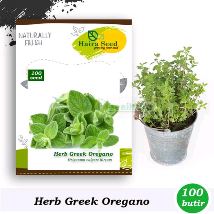 

vd201gf Haira Seed Herba Greek Oregano Dscscv