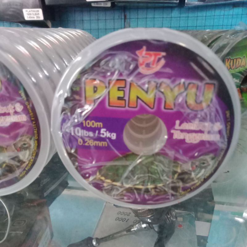 senar penyu