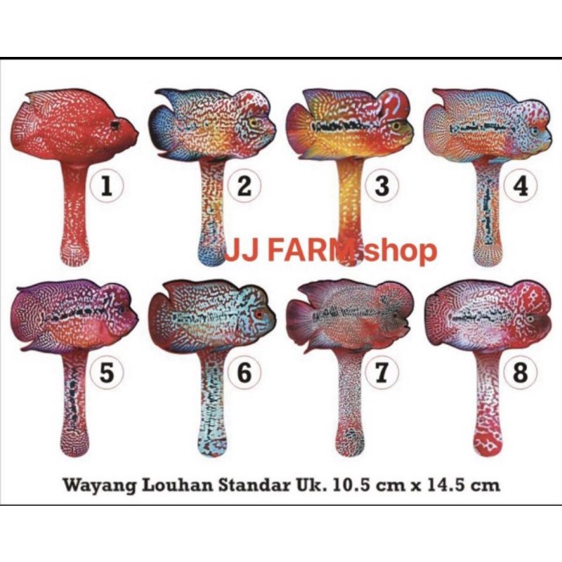 WAYANG IKAN LOUHAN FULL ACRYLIC UNTULAN LOUHAN