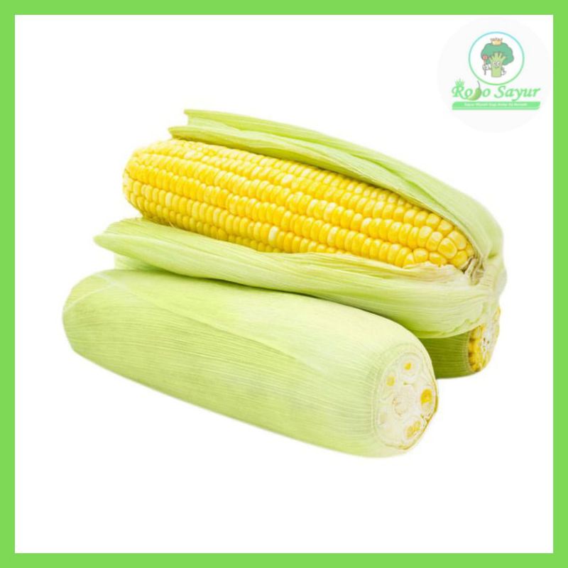 

Jagung Manis -1kg