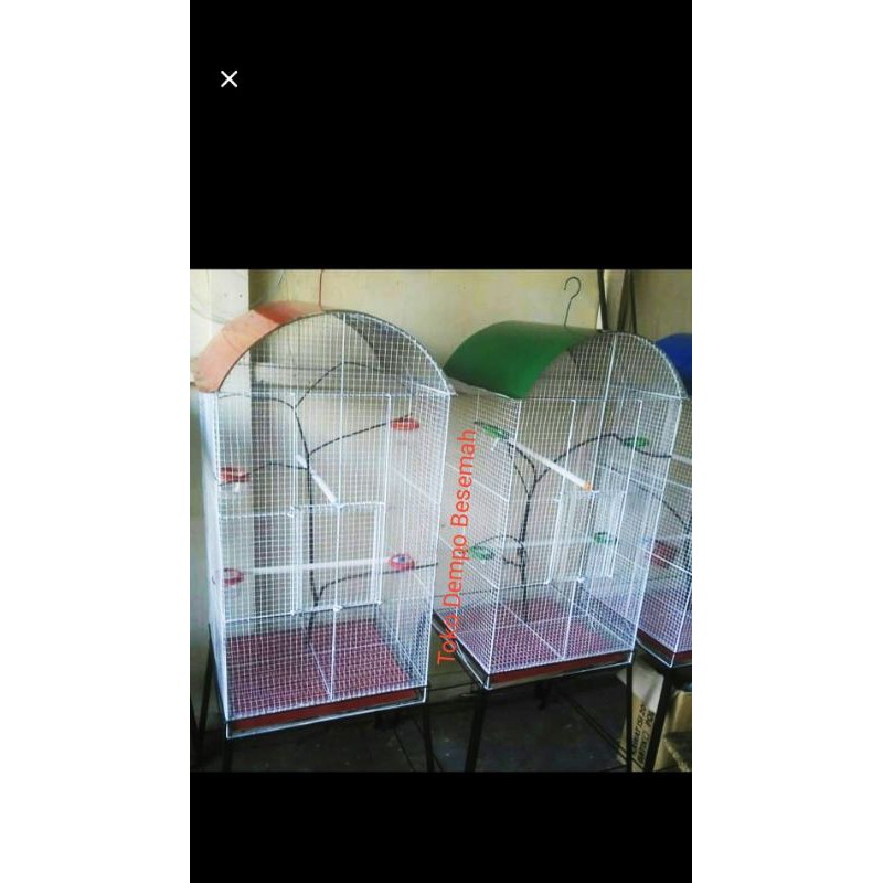 kandang koloni burung Lovebird