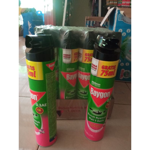 BAYGON SEMPROT NYAMUK 600 ML(WANGI FLOWER GARDEN)