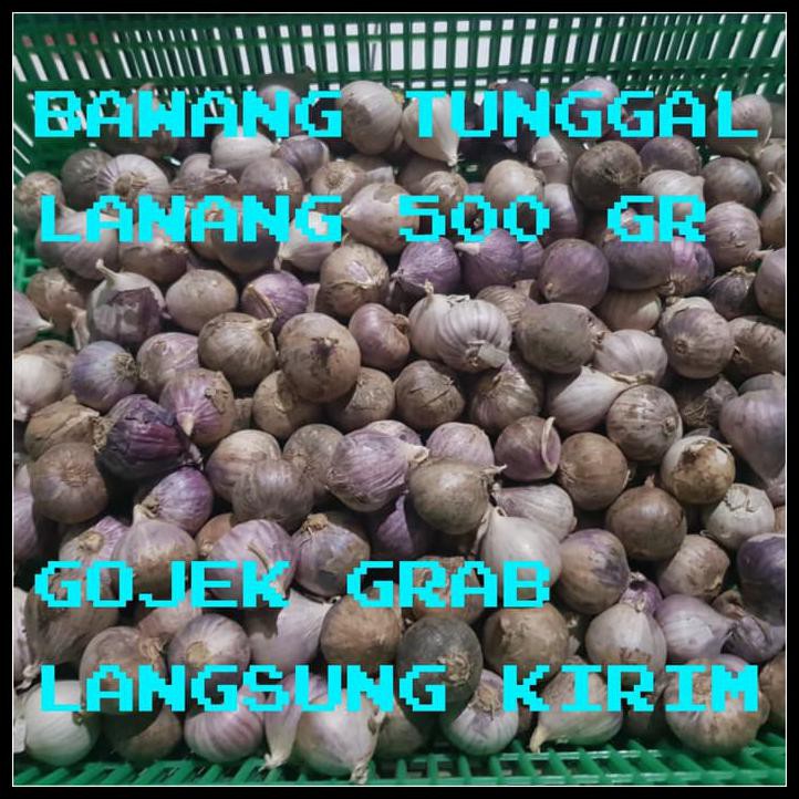 

BAWANG PUTIH TUNGGAL/BAWANG LANANG 500GRAM