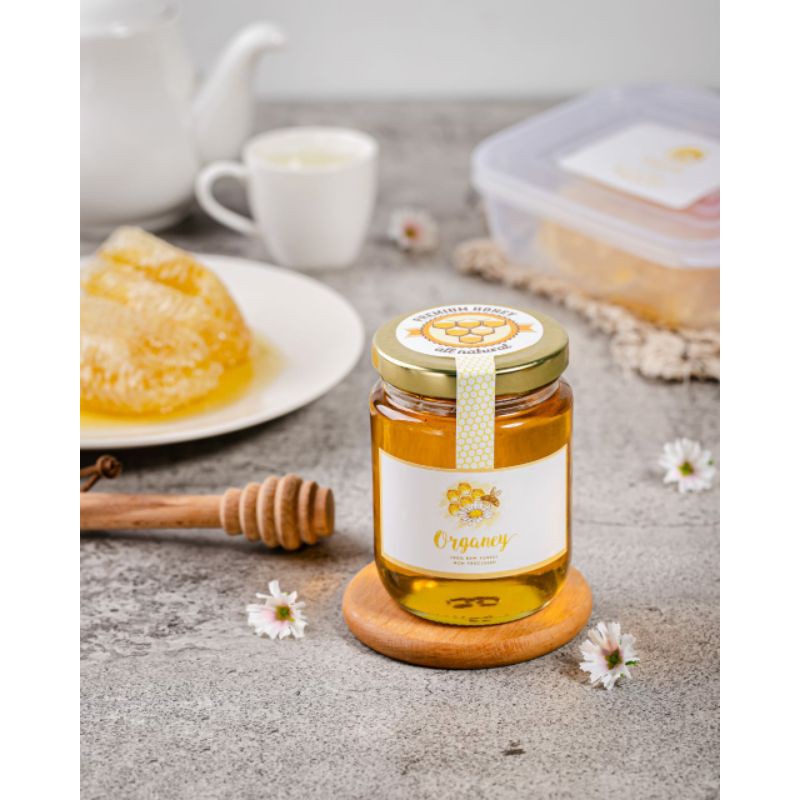 

Organey RAW Honey 250ml