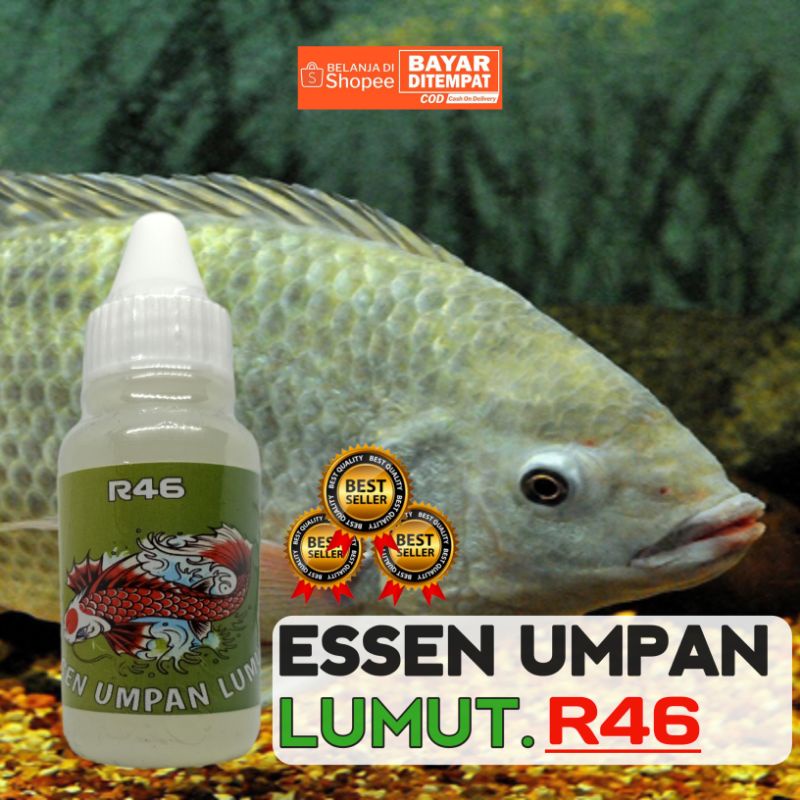 Essen ikan nila,mujaer,tombro liaran / media umpan lumut/essen lumut