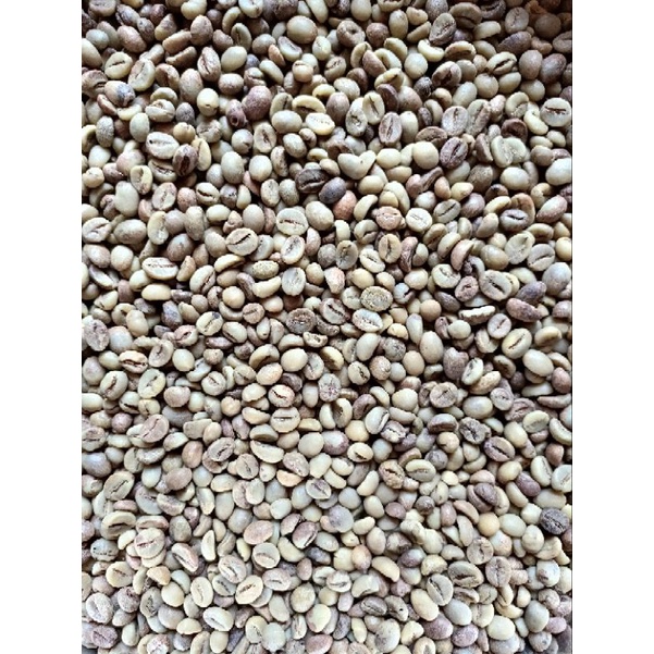 

GREEN BEAN ROBUSTA FINE