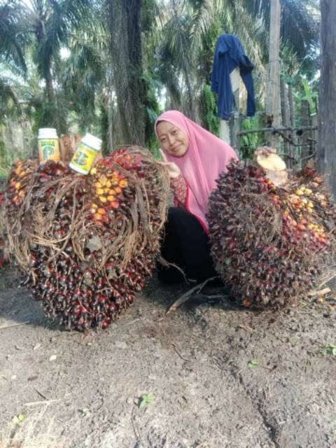 Pelebat Buah Power Nutrition Nasa 3kg