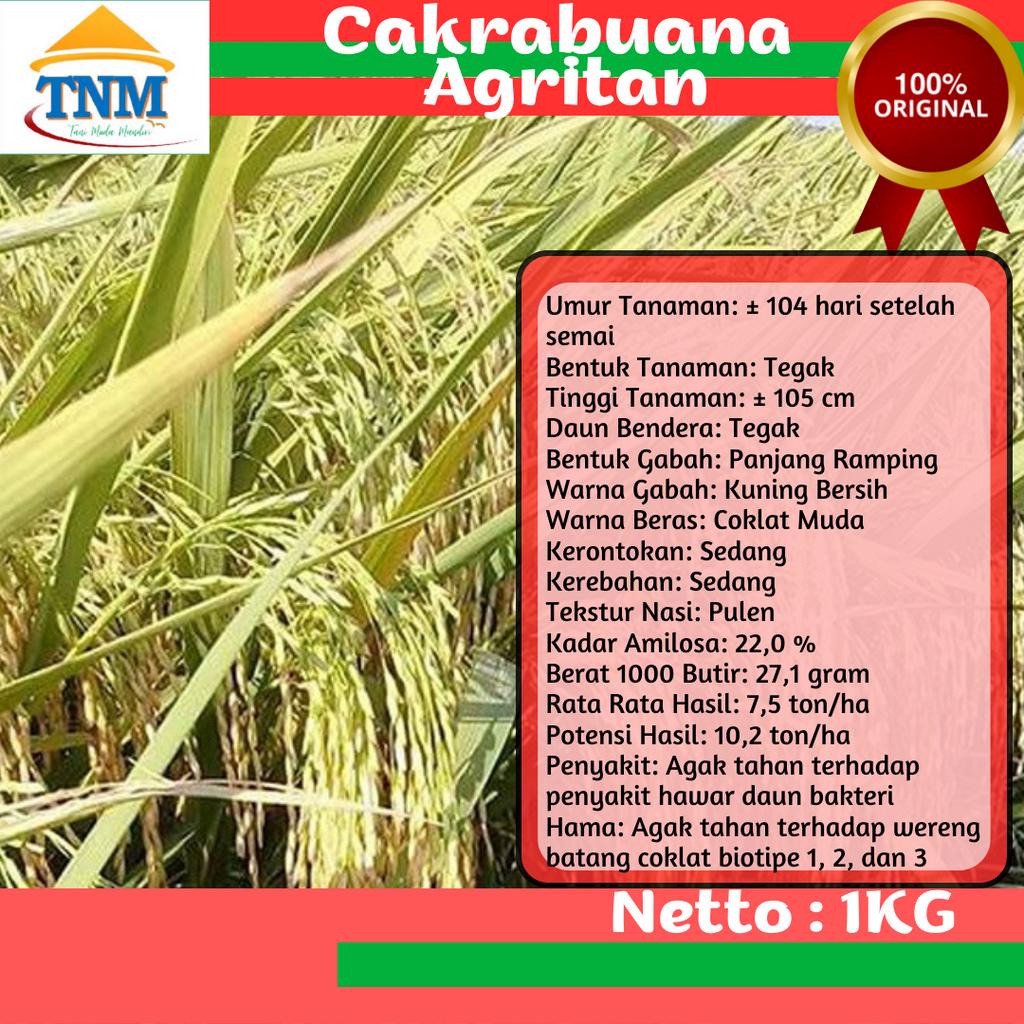 BIJI PADI UNGGUL CAKRABUANA AGRITAN KEMASAN 5KG