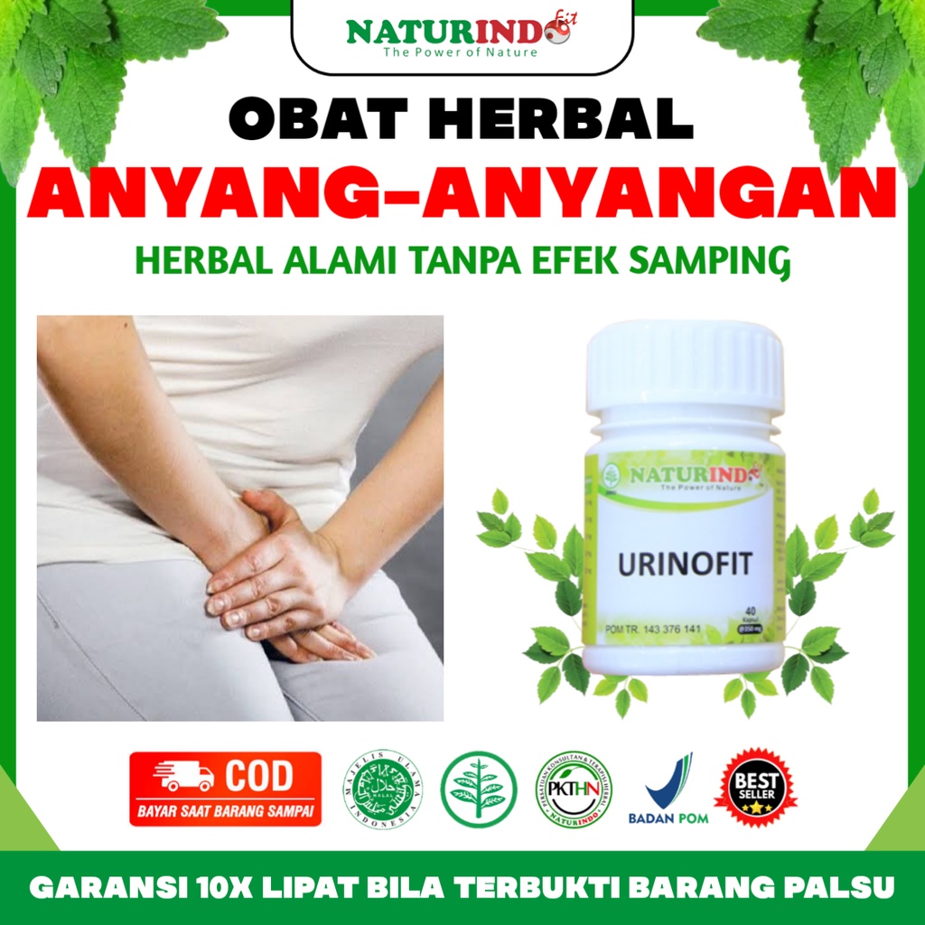 Obat Herbal Anyang Anyangan Beser Sering Susah Buang Air Kecil Ngopol Terus Menerus Anak Sakit Kenci