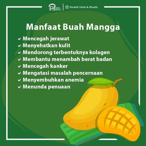 

Gaya Mangga Harum Manis Super Grade Premium Fresh Termurah 1Kg *2-4* Mantap Gilaa!!!