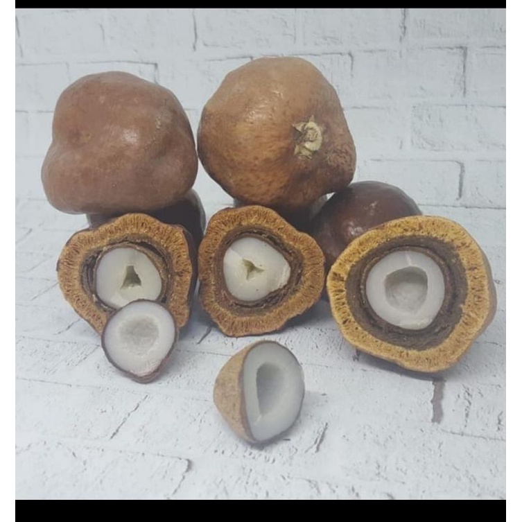 

Buah zuriat mesir 1kg free Test pack/program Hamil