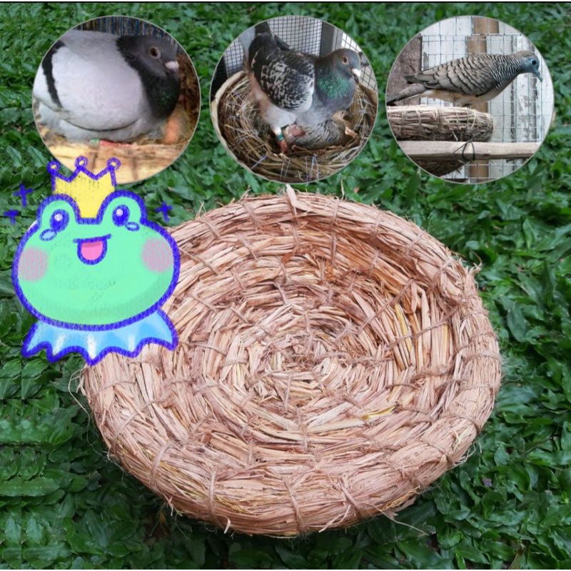 Sarang Burung Sedang dari Jerami Pohon Padi untuk burung merpati,dekukur, puter ,perkutut dll