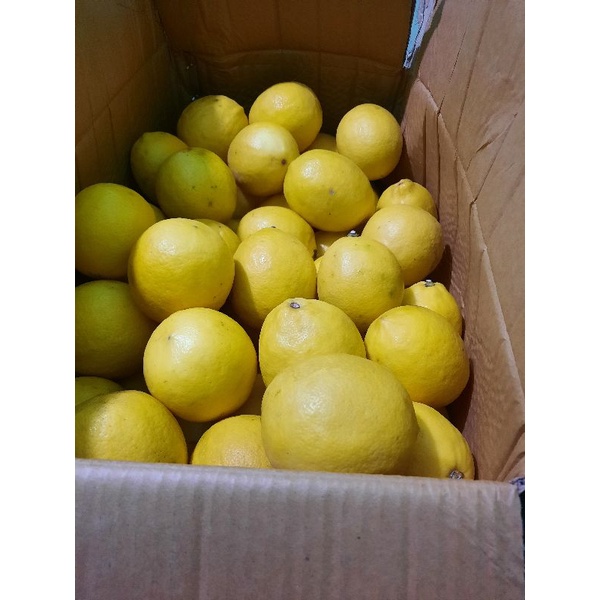 

Jeruk Lemon/ grade A premiun 1 kg