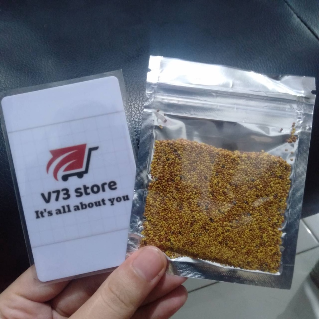 BIBIT LOVE GRASS 8GR TANAMAN AQUASCAPE BIBIT CARPET SEED