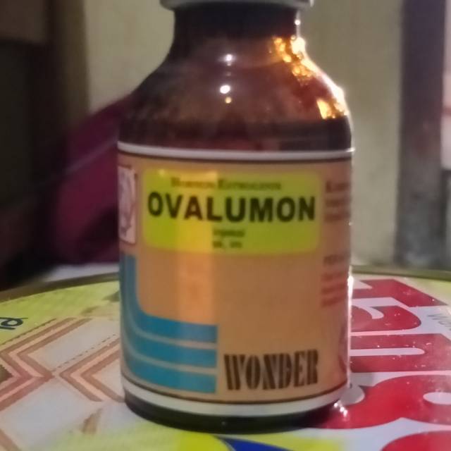 Ovalumon obat birahi pada hewan.