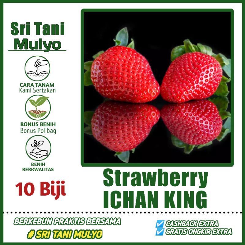 10 Biji - Benih Strawberry Merah ICHAN KING - Bibit Stroberi Unggulan - Benih Buah Strawberi Manis H